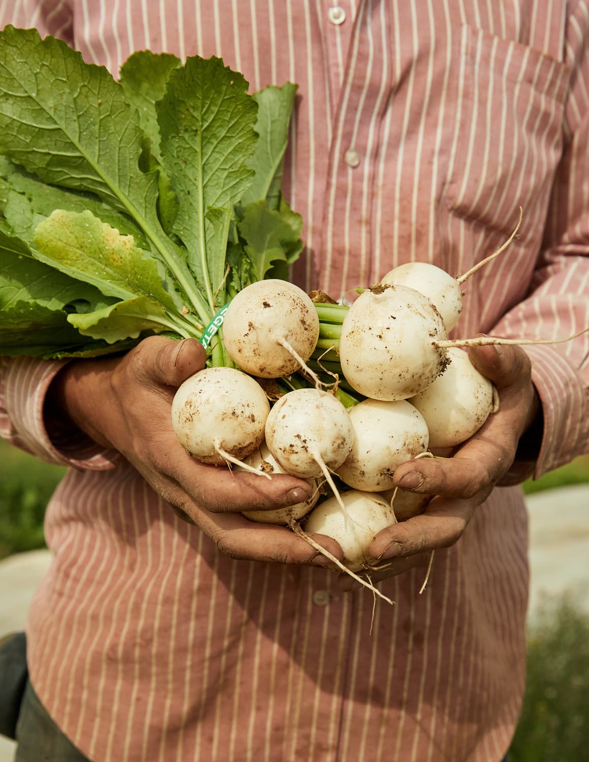 Monocle Ojai California editorial photography by Cody James